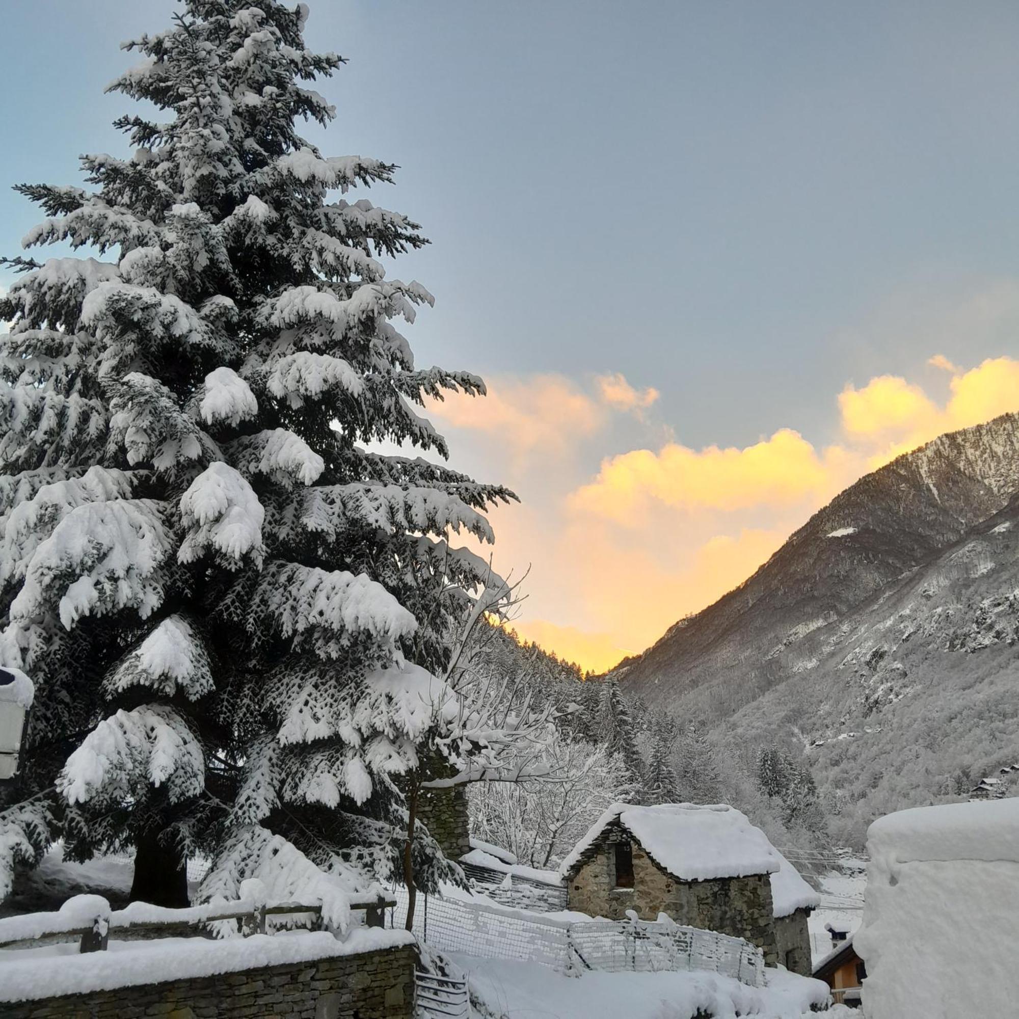 Casa All'Alpe Anzino Kültér fotó