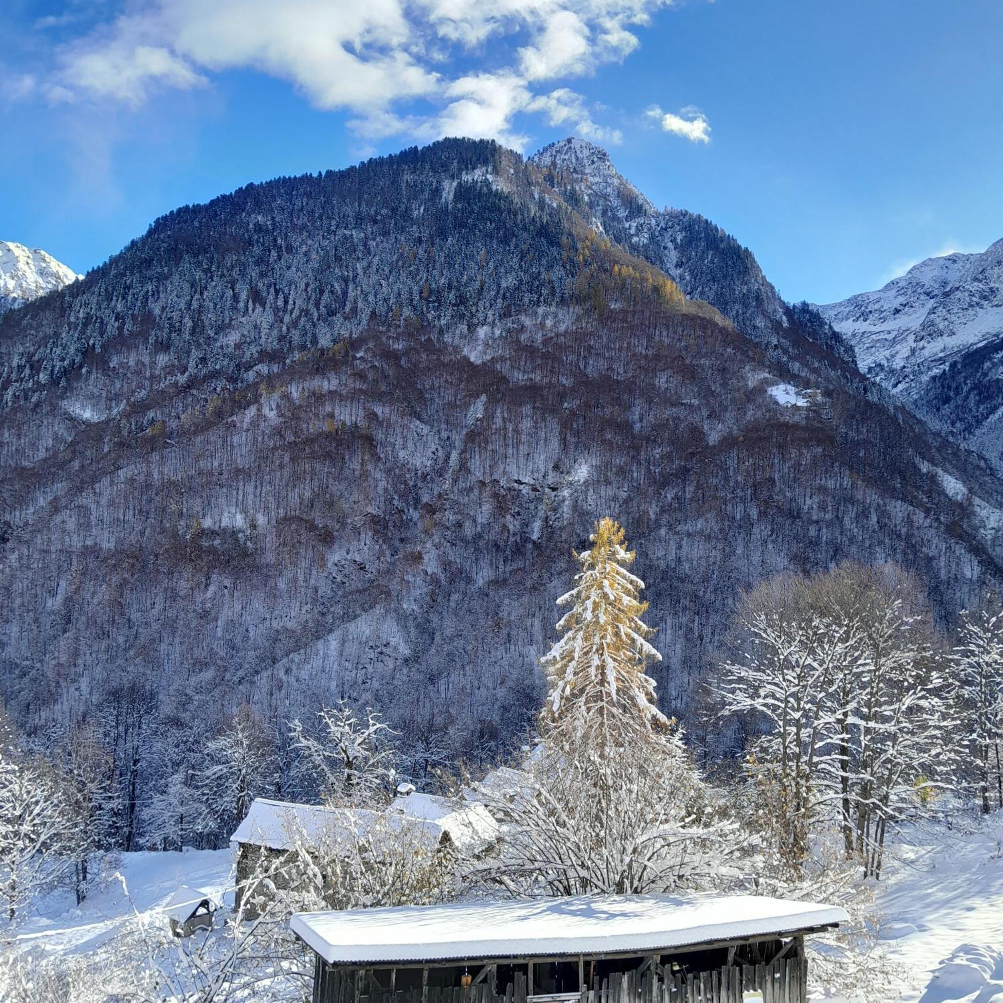 Casa All'Alpe Anzino Kültér fotó